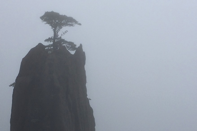 Island in the Fog