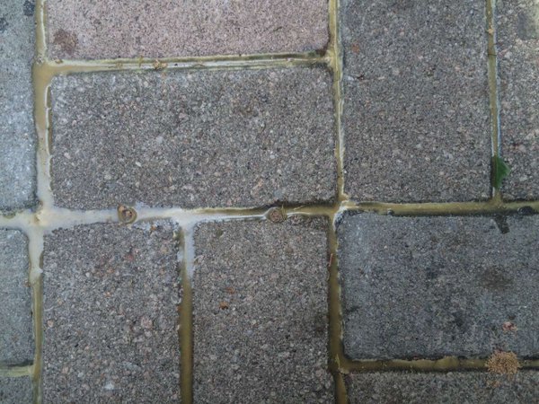 街头地砖被胶水固定