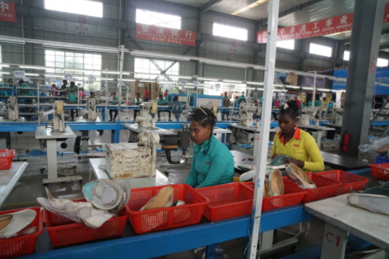 埃塞俄比亚工人与中国工人相比，效率只有一半甚至更少。摄：張子竹