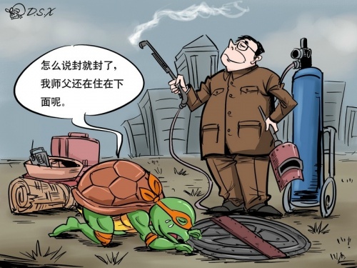 忍者神龟在中国.jpg