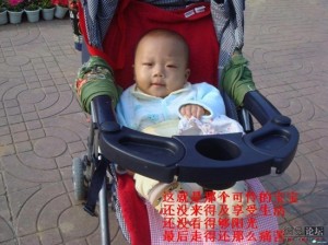 Translation of caption: This is the poor baby. He didn't get to enjoy life, or see much of the sun's light. And in the end, he suffered so ...