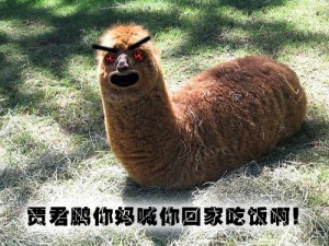 "Jia Junpeng, your mother is calling you home for dinner!" screams the grass-mud horse. (Source: ChinaSmack)