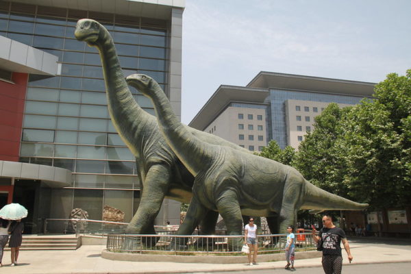 Outside the glass-windowed Henan Geological Museum in Zhengzhou, China, two enormous, green, long-necked dinosaur sculptures dwarf passersby.