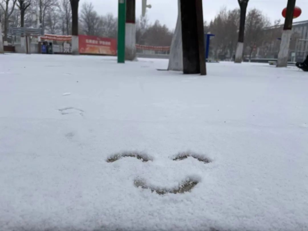A smiley face is drawn on the snowy ground, with trees in the background.