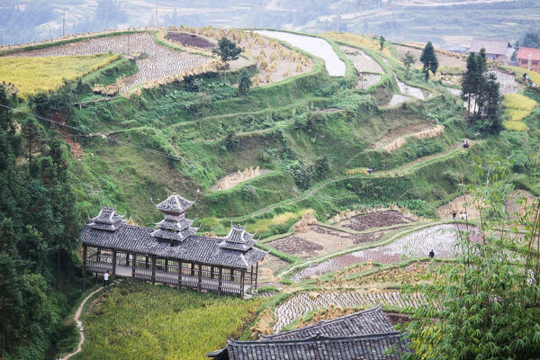 A charming covered bridge with a tiled roof accented with tiny pagodas provides pedestrian access across a number of verdant terraced rice fields in Zhaoxing, Guizhou province.