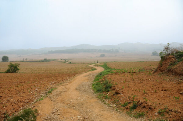 A yellowish dirt road winds among a dry landscape of yellowish-orange fallow fields, a few bushes and trees, and more low hills and fallow fields in the distance.