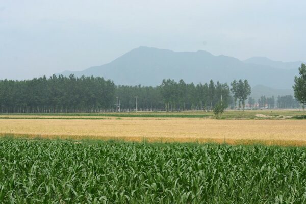 Photo: Mountains and Fields, by b cheng