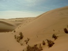  Wikipedia En 7 79 Gobi Desert
