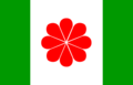800px-Flag_of_Taiwan_proposed_1996.svg.png