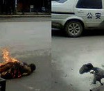 唯色 | 悲悼！——境内藏人传出的阿坝自焚僧侣照片