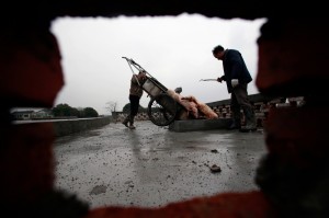 CHINA-POLLUTION-FARM-ANIMAL-PIGS