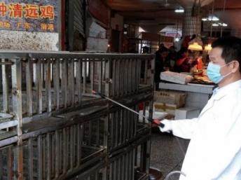 法广｜酒楼砧板有H7N9易生交叉感染中国一日多6人感染