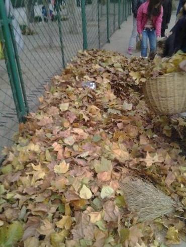 郑州升达经贸管理学院的大一学生被要求每天将校园内的落叶扫净。照片由一位升达学生提供。