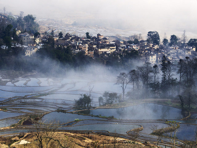 Honghe Hani Rice Terraces