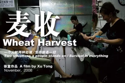 【CDTV】比起「残酷农村」，这才是中国的底层