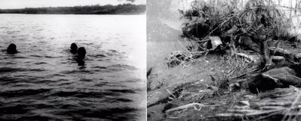 左图：被困水中的求生者；右图：洪水中遇难者的尸体