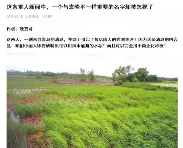 短史记｜“中国人即将研制出海水灌溉的水稻”刷屏 你千万别当真
