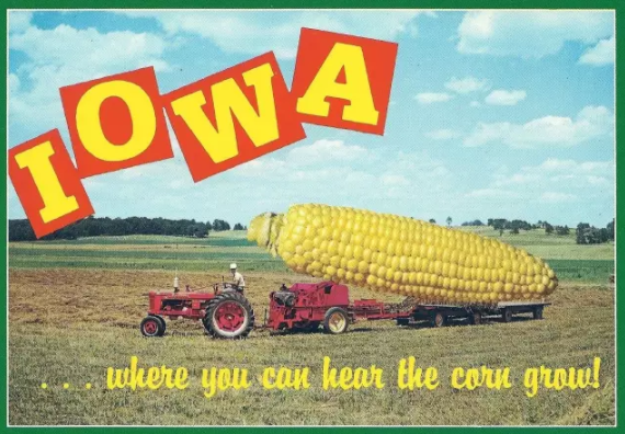 （爱荷华作为美国中部传统农业州，经常被和玉米地联系起来）