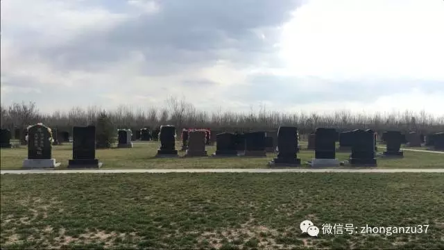 重案组37号 | 揭北京墓地市场：多数1平米10万
