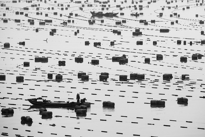 Photo: The Floating Sea Farms of Xiapu, by Alex Berger