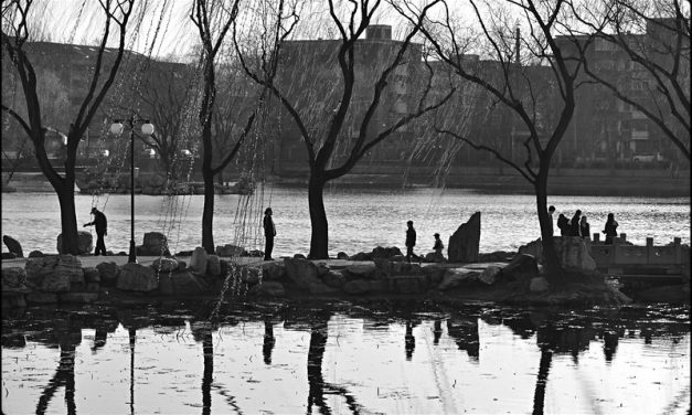 Photo: City Park, Beijing, by Alexander C. Kafka