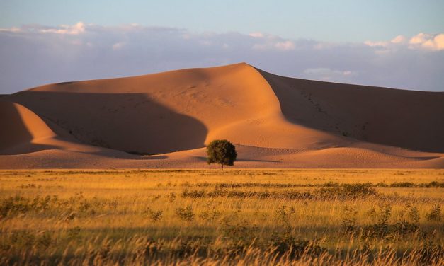 Photo: Inner Mongolia, by Rokkor.G