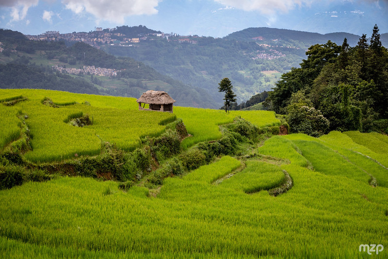 Photo: Rice fields of Yuanyang, by mzagerp