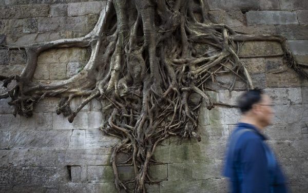 Photo: Untitled (Chongqing), by Penn Leung