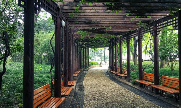 Photo: Happy bench, Shanghai, China, by cattan2011