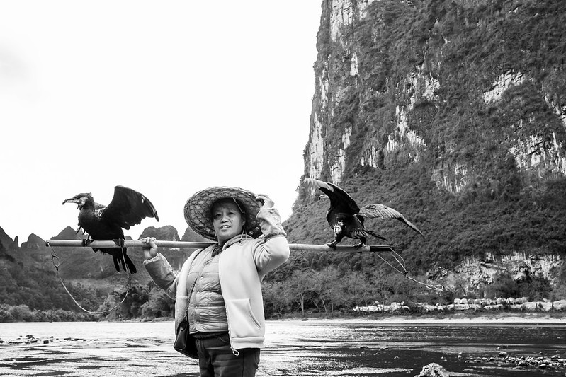 Photo: The Lady From Li River, by Gauthier DELECROIX – 郭天