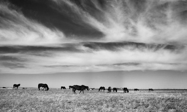 Photo: Untitled (Inner Mongolia, 2015), by Chenbin16