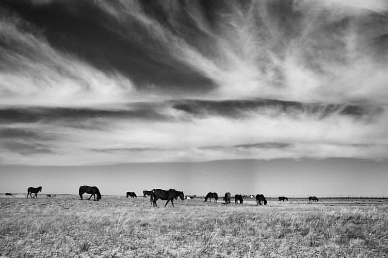 Photo: Untitled (Inner Mongolia, 2015), by Chenbin16