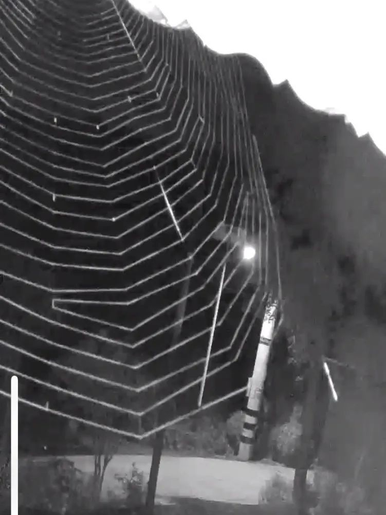 The white threads of a large spiderweb stand out clearly against the darkened backdrop of surveillance camera footage.