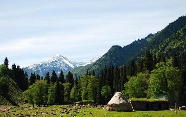 Photo: DSC_3584 [Ili, Xinjiang, China], by Felix Guan