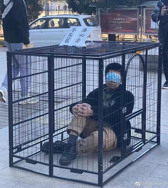 A male student, wearing a face mask as a blindfold, lounges in a small cage as part of a performance art piece. 
