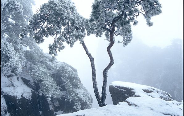 Photo: China/HuangShan/水墨黄山, by bomb_bao