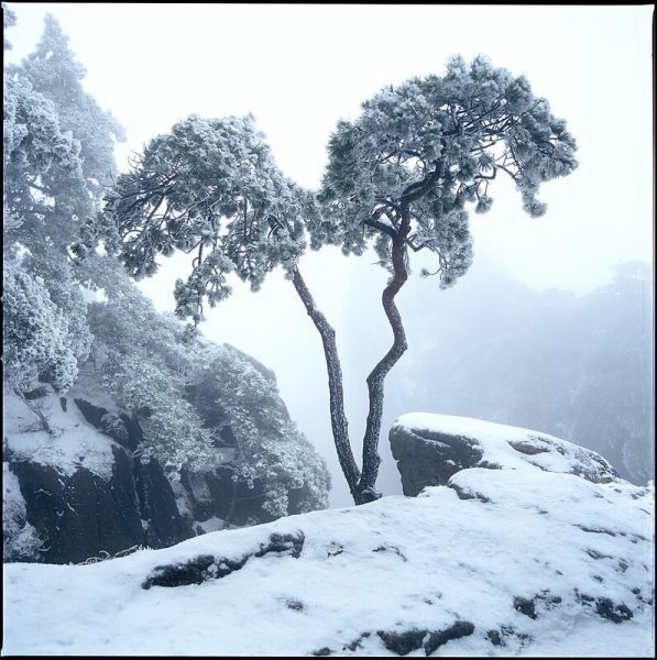 Photo: China/HuangShan/水墨黄山, by bomb_bao