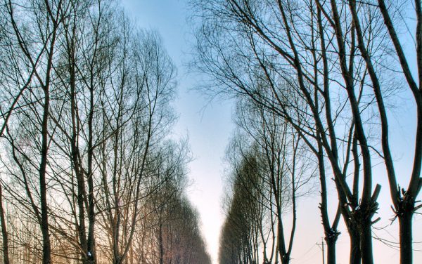 Photo: road, by Xuan Zheng