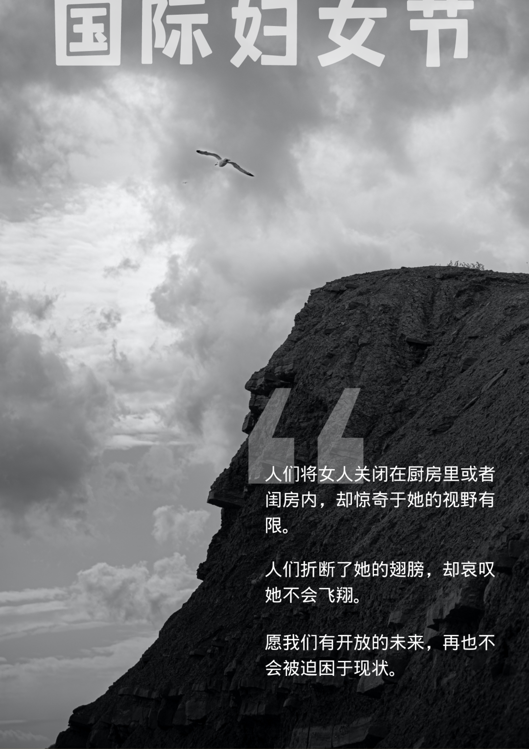 A monochrome image of a cliff against a stormy sky with a seagull flying in the upper-left corner.