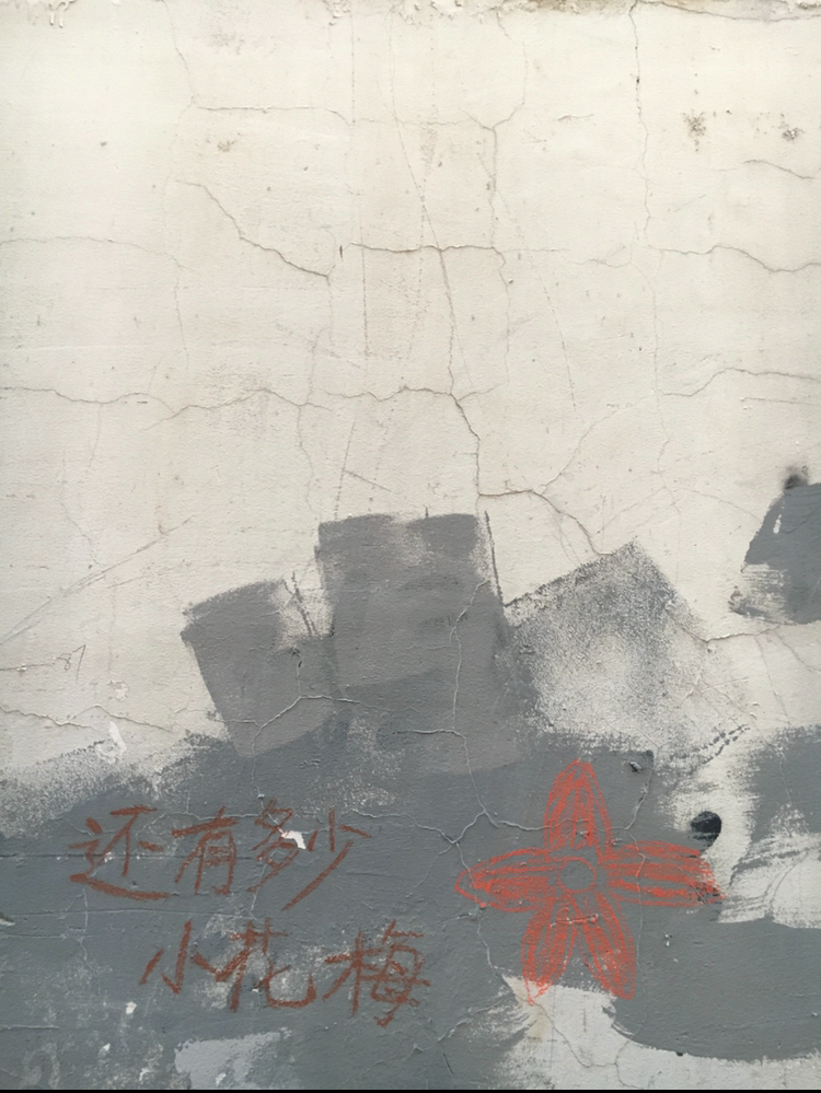 A cracked white wall is covered with strokes of gray paint, a drawing of a plum blossom, and the message “How many more Xiaohuameis are there?”