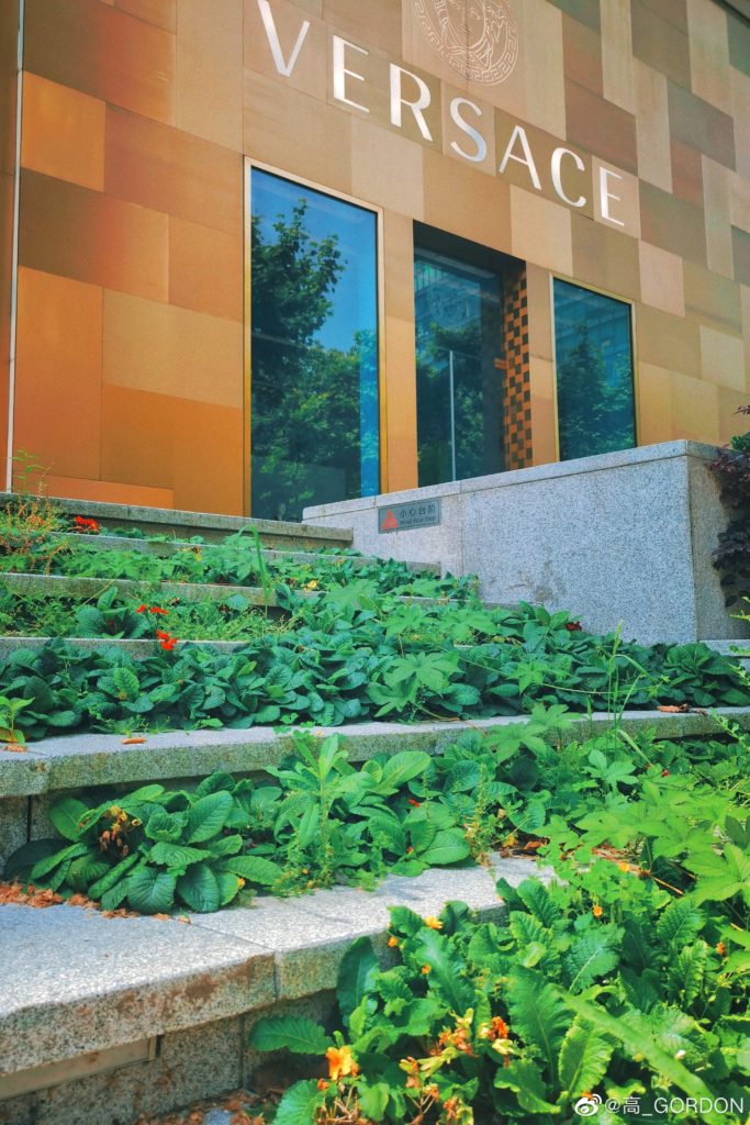 五月中的淮海中路