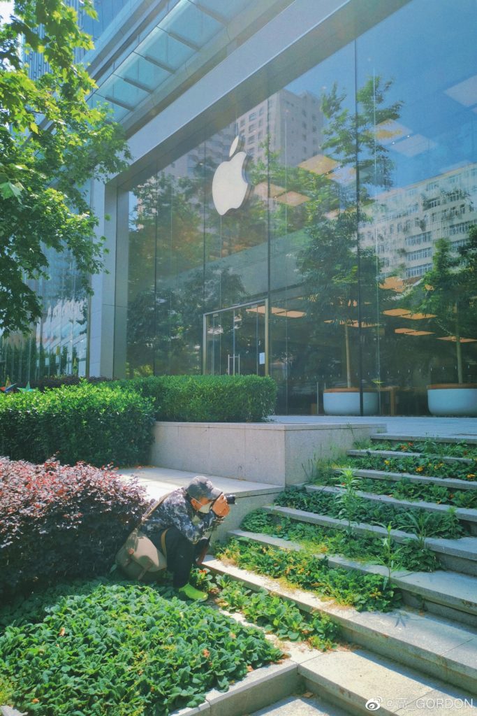 五月中的淮海中路