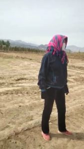 失地村民站在被推平的庄稼地里一筹莫展