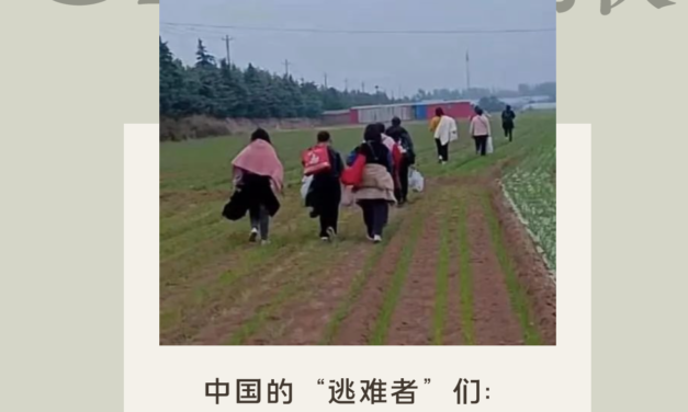 【CDT周报】第93期：中国的“逃难者”们要么背井离乡，要么千里返乡