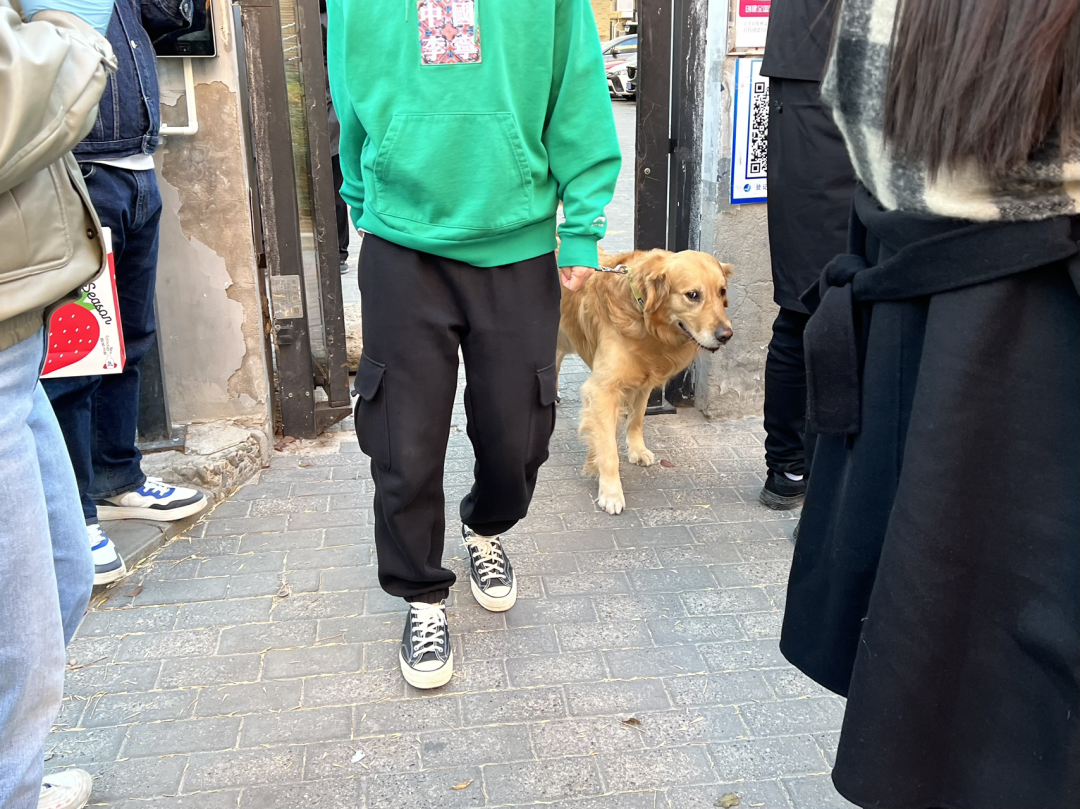 A man in tennis shoes and a green sweatshirt emerges from the metal gate with his reluctant-looking Golden Retriever.