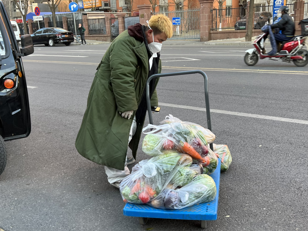 A man with dyed blonde hair and a green padded military overcoat with a brown fur collar looks down at a wheeled handcart piled with vegetables wrapped in see-through plastic garbage bags.