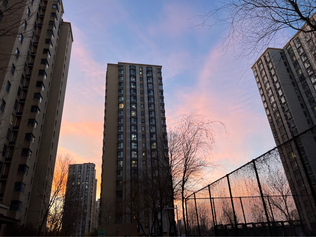 The high-rise apartment buildings, metal fences, and bare-branched trees appear as dark silhouettes against the sunset-tinged sky.