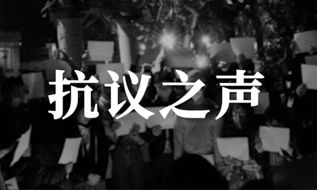 【CDT月度视频·专题】抗议之声——“与白纸运动同行”