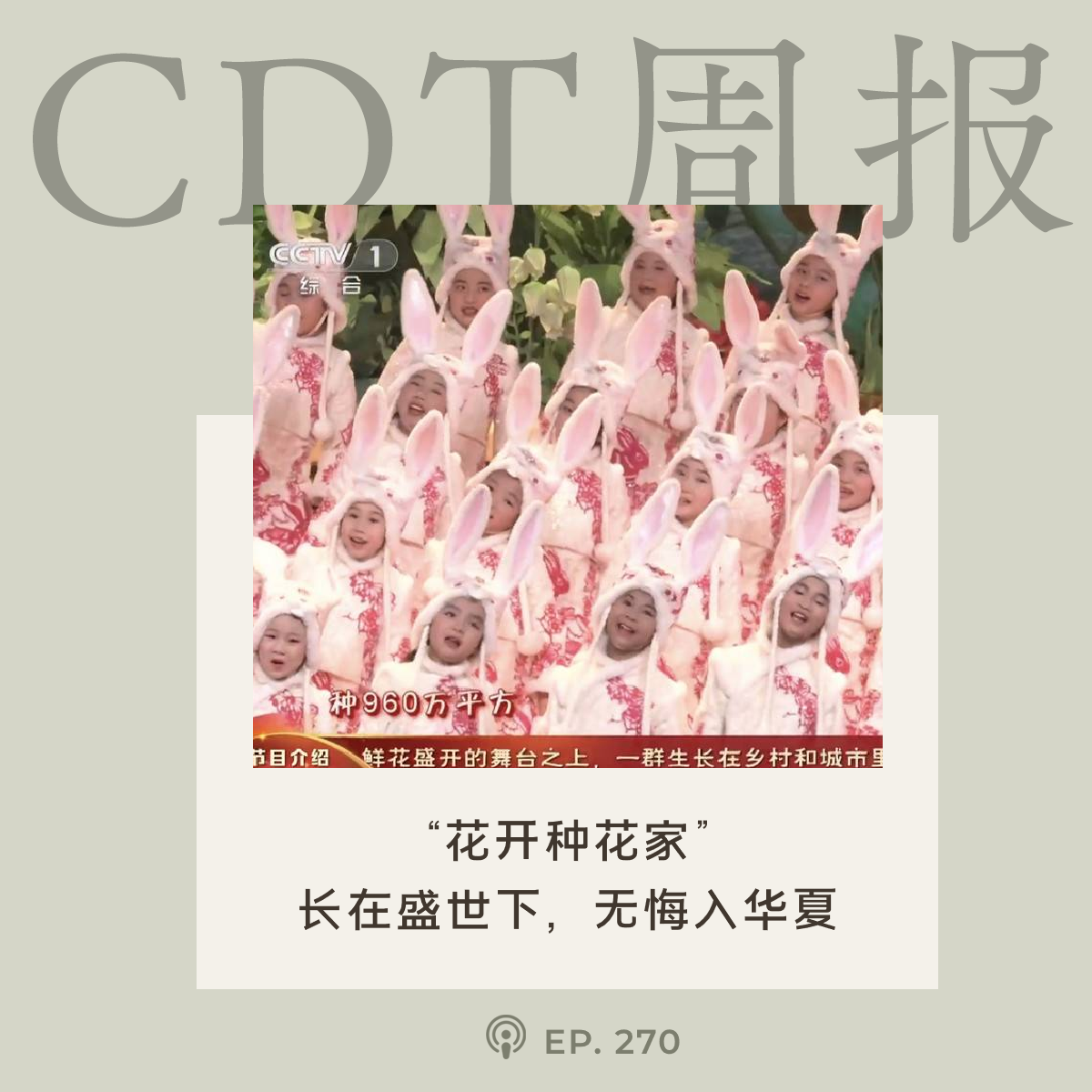 【CDT周报】第104期：花开种花家，长在盛世下，无悔入华夏