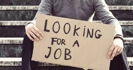 山巅上的加图｜年轻人失业率超20%，出路在哪儿